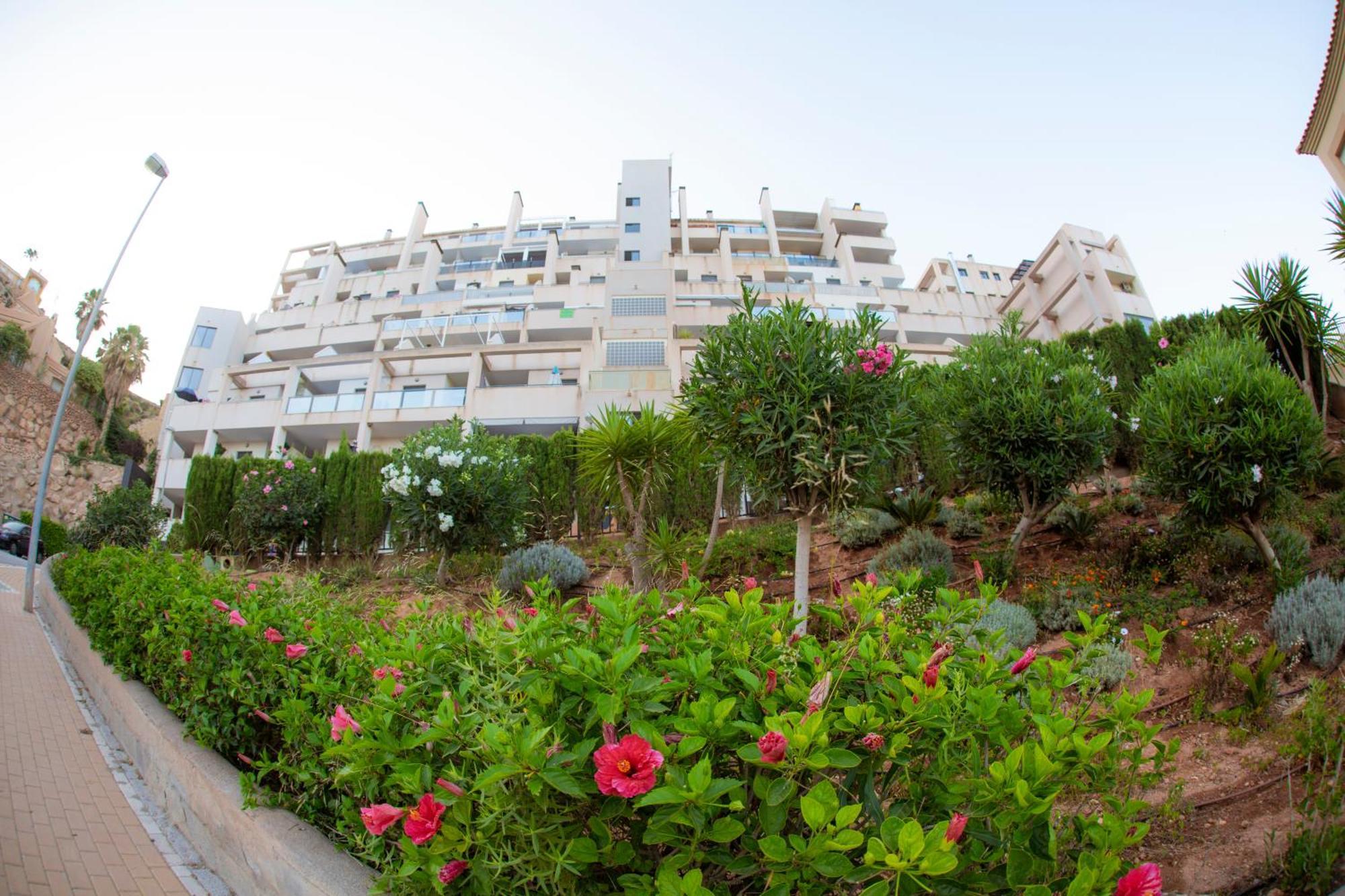 Apartamentos Msc Golf & Beach La Envia Εξωτερικό φωτογραφία